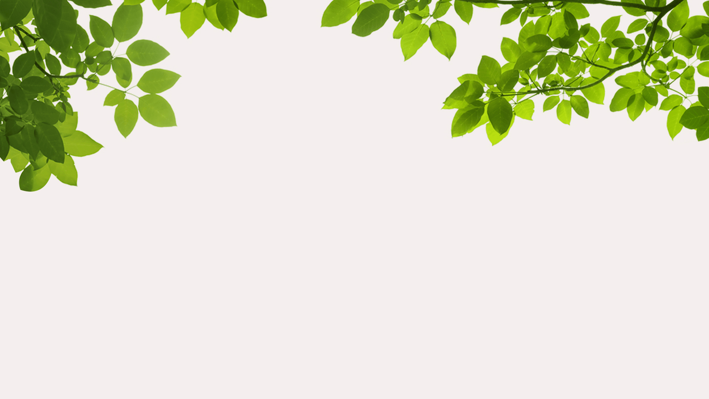 Leaves Background