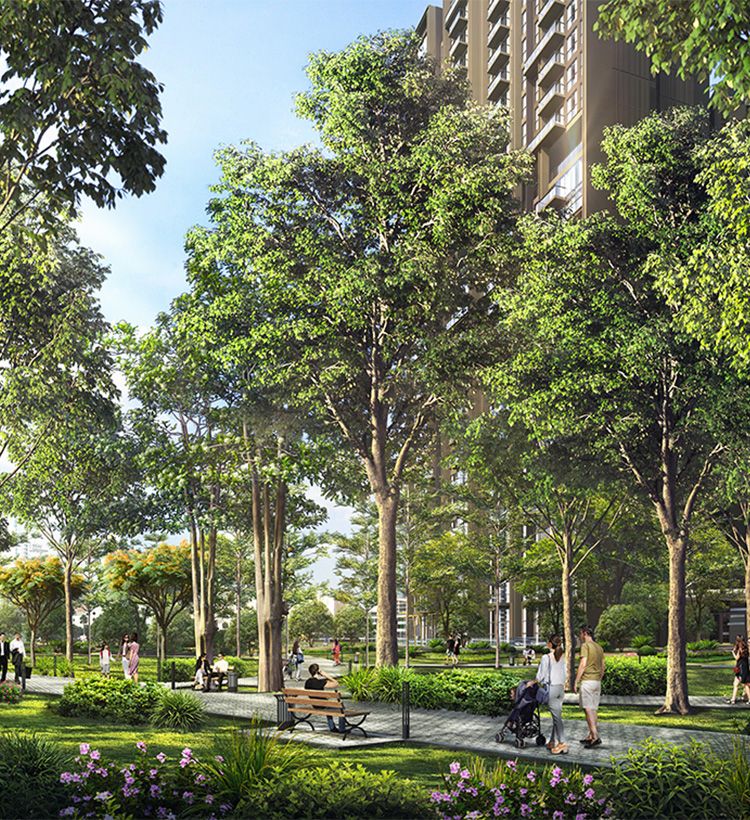4 Ha Central Forest