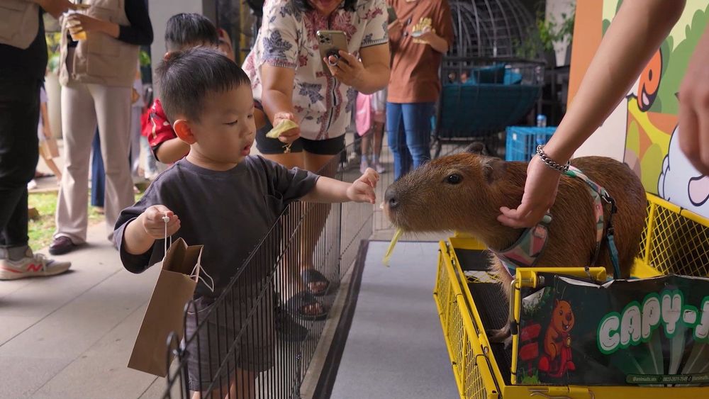 The Friendly Safari: Meet Capybara and Friends di EleVee Residences Alam Sutera